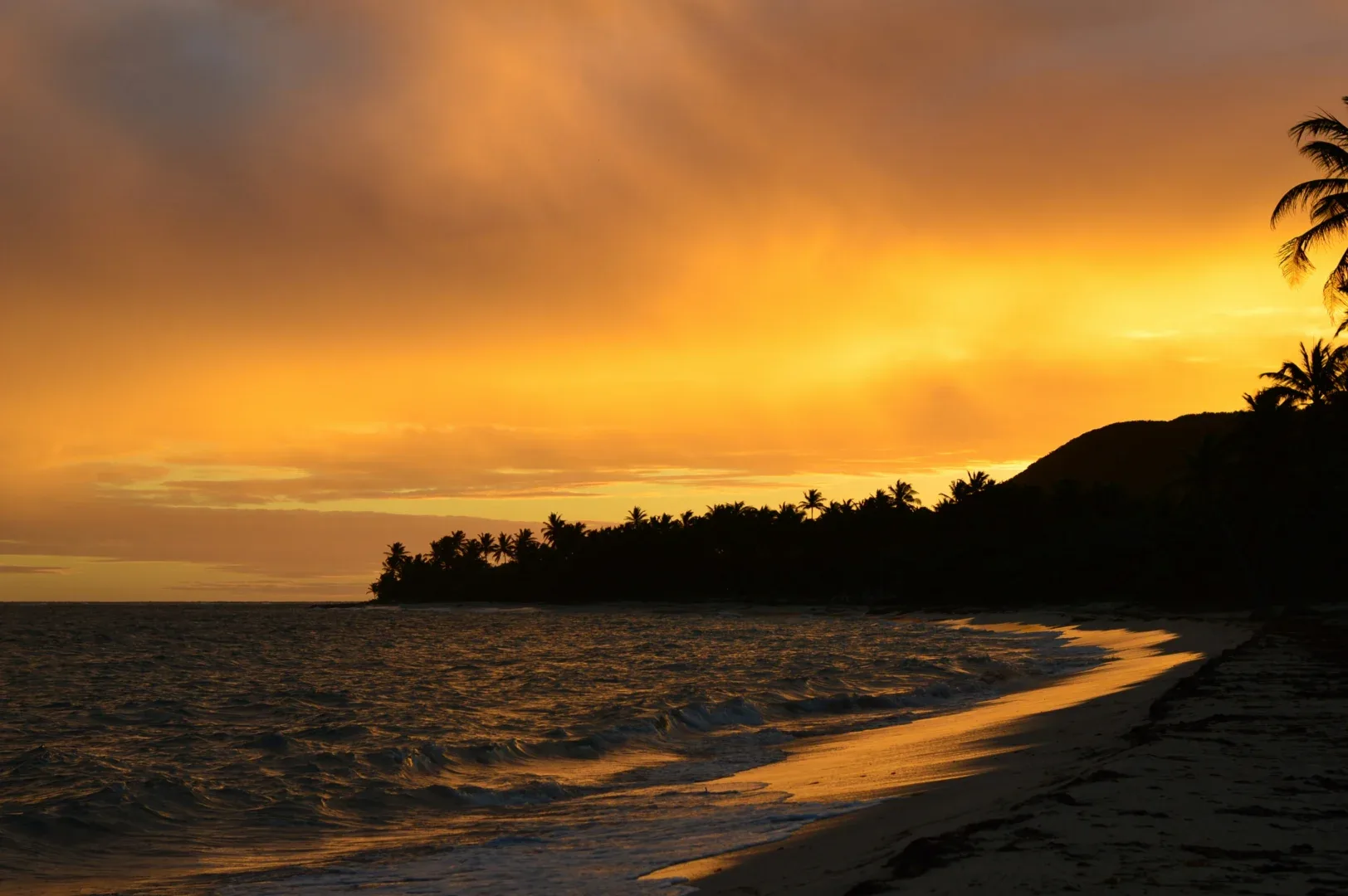 a beach with palm trees and a sunset